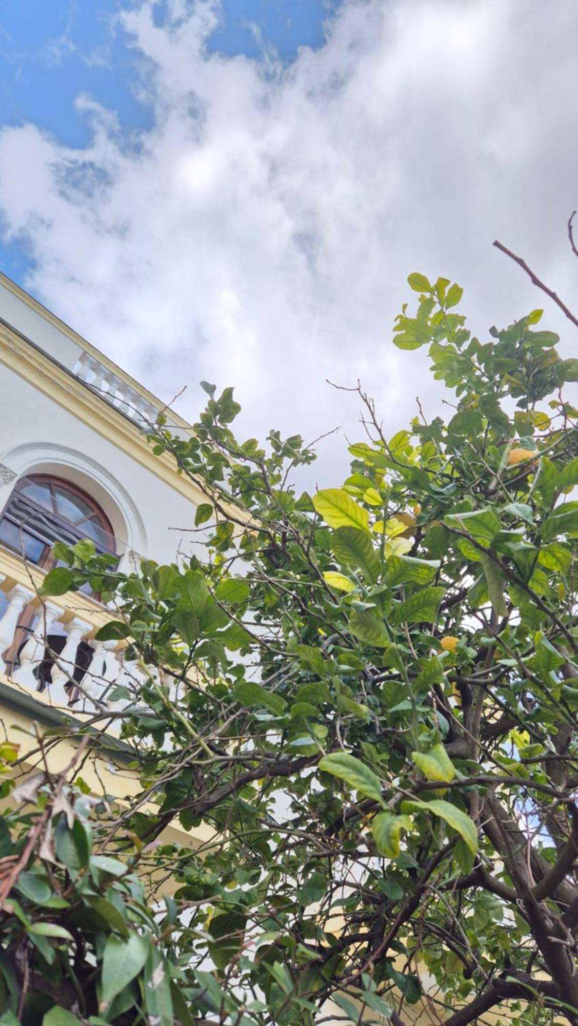 Relais Villa Montedonzelli ナポリ エクステリア 写真